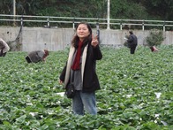 點我放大