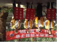 點我放大